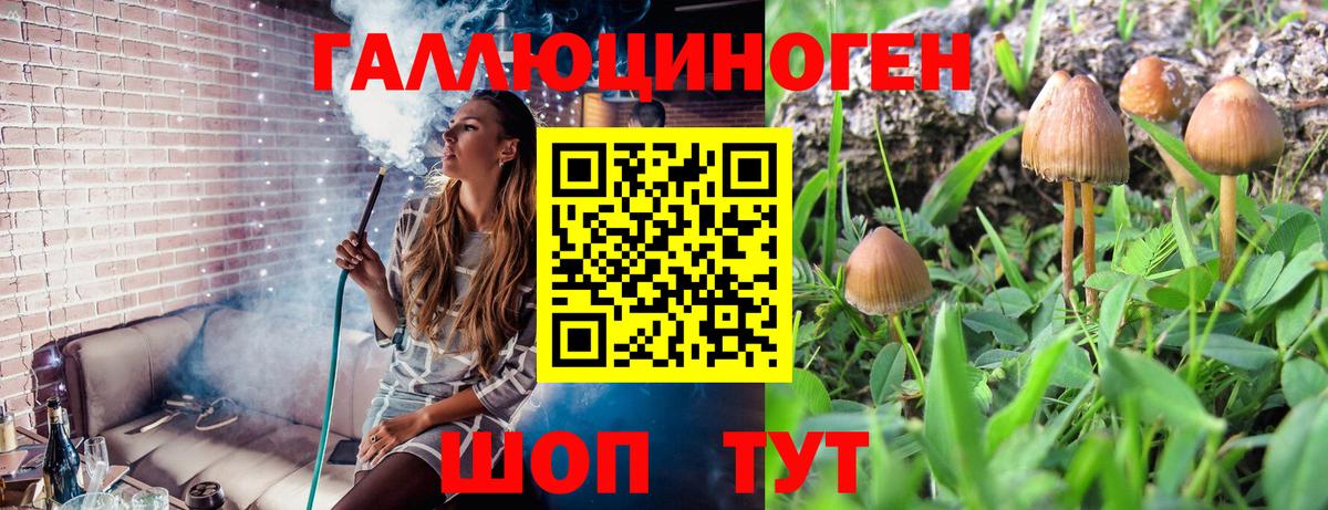 хочу наркоту  Вход с VPN  Урус-Мартан  Галлюциногенные грибы мухоморы 
