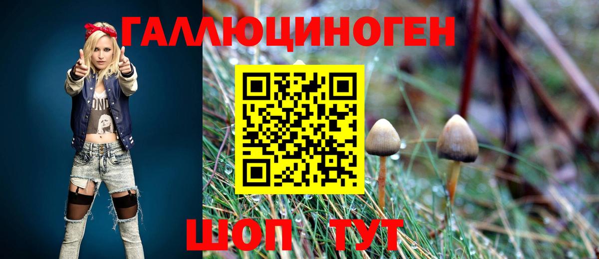Псилоцибиновые грибы GOLDEN TEACHER Урус-Мартан